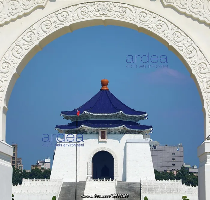 : National Chiang Kai-Shek Memorial Hall, Taipei, Taiwan : National Chiang Kai-Shek Memorial Hall, Taipei, Taiwan