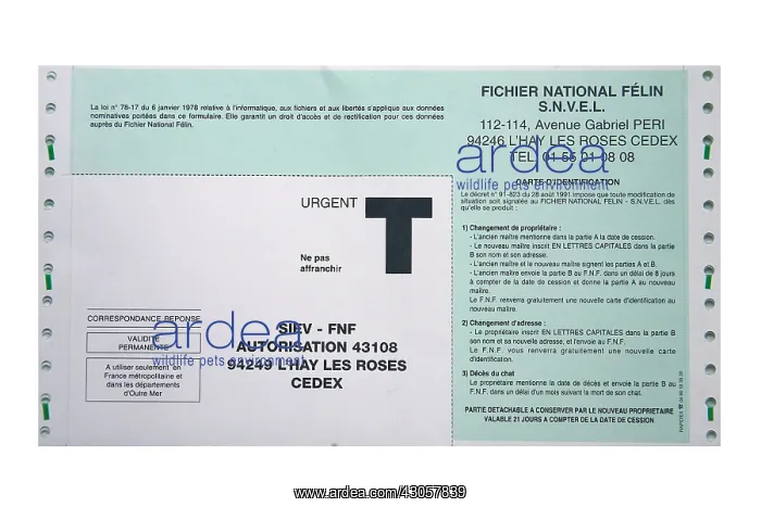 : National felin : National felin