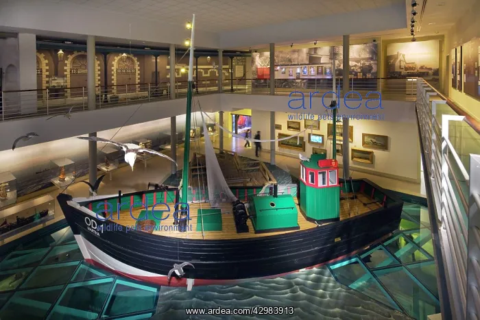 : National Fisheries Museum : National Fisheries Museum