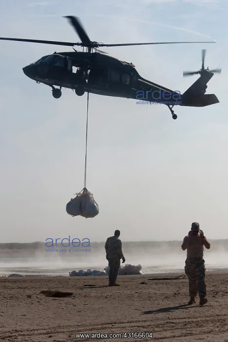 : National Guard Reinforces Barrier Island : National Guard Reinforces Barrier Island