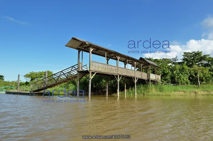 : National Nature Wetland Reserve Kaw-Roura : National Nature Wetland Reserve Kaw-Roura