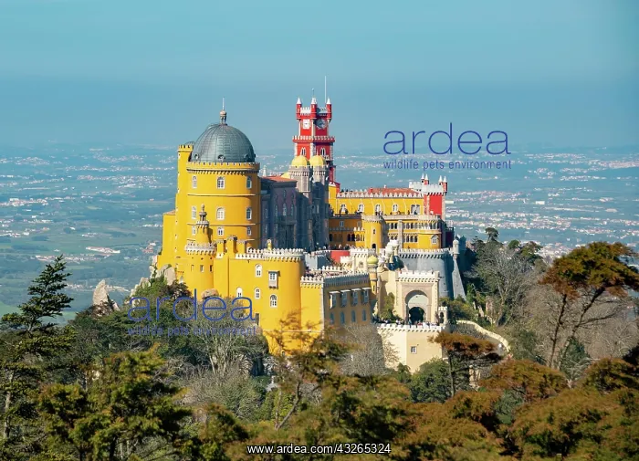 : National Palace Pena, Cultural Landscape Sintra : National Palace Pena, Cultural Landscape Sintra