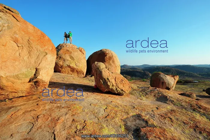 : The national park of Matobos Hills is made of granite : The national park of Matobos Hills is made of granite