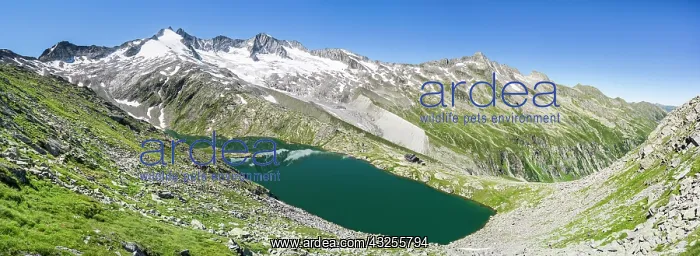 : Nationalpark Hohe Tauern, lower lake Gerlos : Nationalpark Hohe Tauern, lower lake Gerlos