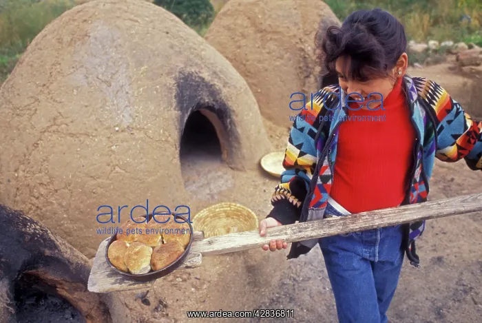 : Native American Child - Taos Pueblo : Native American Child - Taos Pueblo