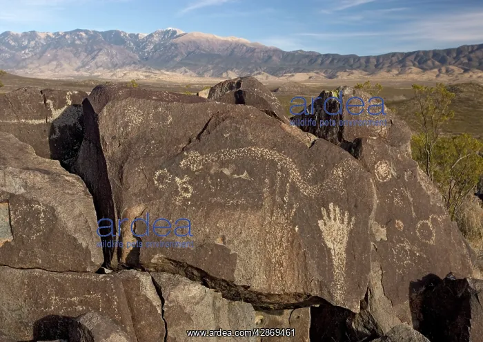 : Native American Petroglyphs - Bighorn / Big-horn : Native American Petroglyphs - Bighorn / Big-horn