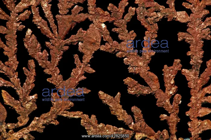  : Native Copper