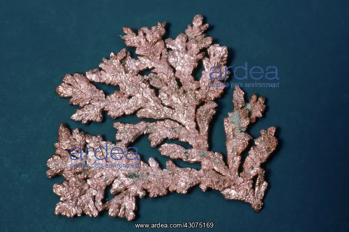 : Native Copper : Native Copper