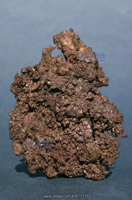 : Native Copper : Native Copper