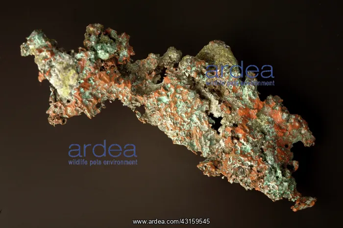 : Native Copper : Native Copper
