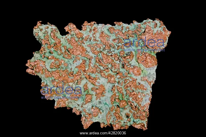 : Native Copper - Cu - Native element : Native Copper - Cu - Native element