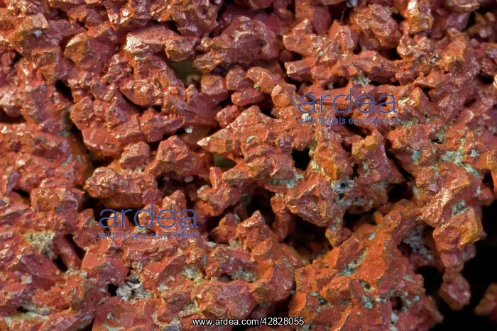  : Native Copper - Elko County-Nevada - USA
