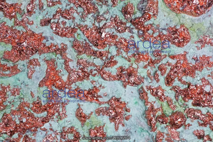  : Native Copper - Lake Superior - Michigan