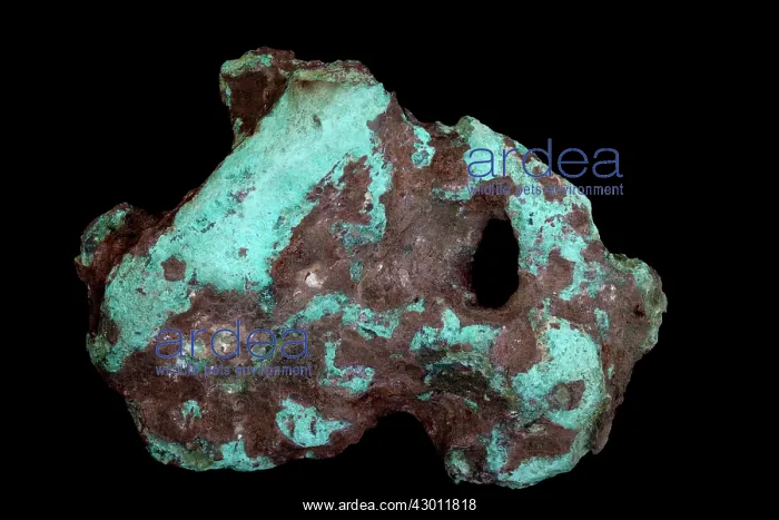  : Native Copper Nugget (CU) recovered from Lake Michigan