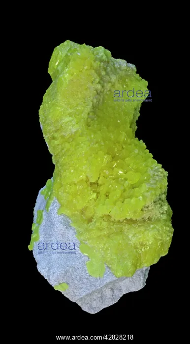  : Native Sulfur - Baja California - Mexico