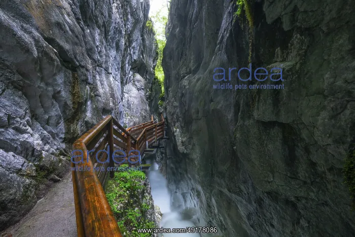 : Natural beauty of the Alps, the Innersbachklamm gorge near Unken in Austria : Natural beauty of the Alps, the Innersbachklamm gorge near Unken in Austria