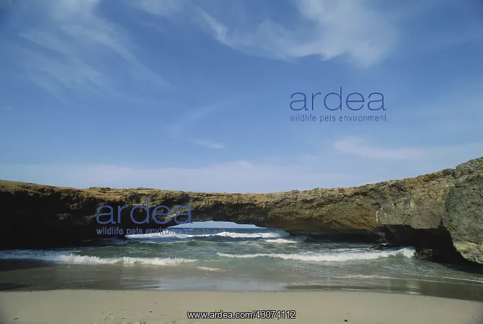: Natural Bridge, Aruba : Natural Bridge, Aruba