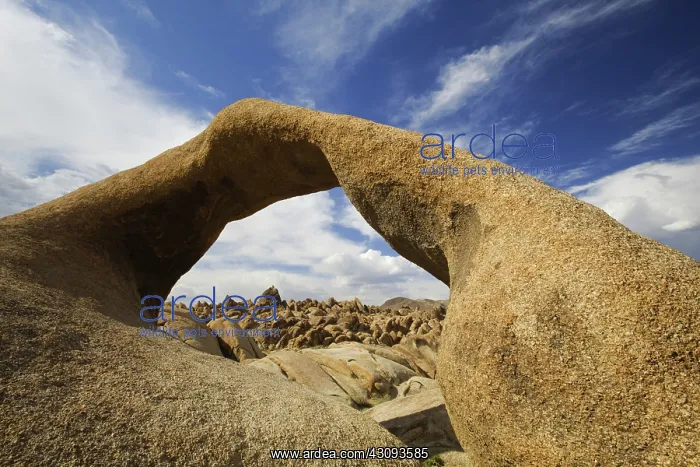 : Natural Bridge, CA : Natural Bridge, CA