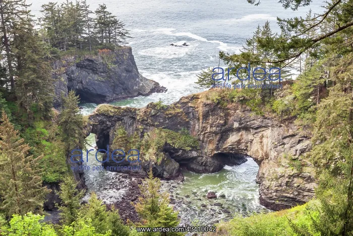 : Natural Bridges Viewpoint, Oregon, USA. View of : Natural Bridges Viewpoint, Oregon, USA. View of