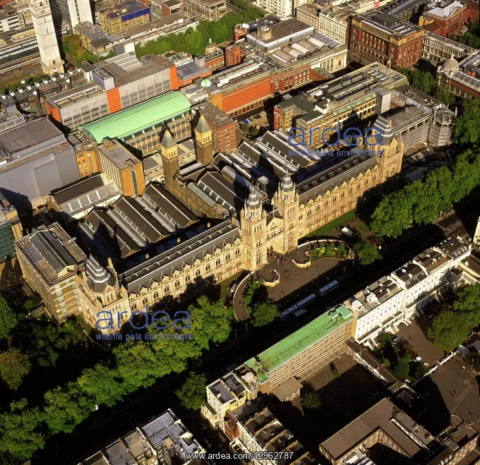 : Natural History Museum, Albertopolis, Exhibition : Natural History Museum, Albertopolis, Exhibition