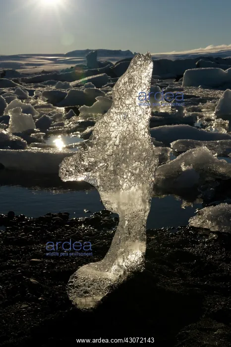 : Natural ice sculpture at J?kulsarlon lake against a backdrop : Natural ice sculpture at J?kulsarlon lake against a backdrop