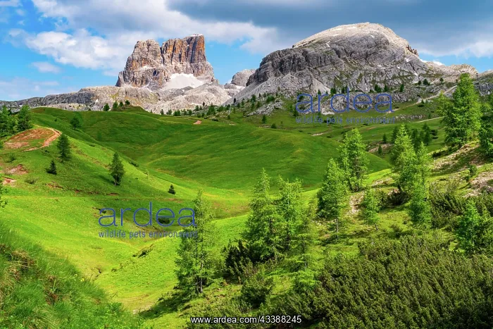 : Natural landscape of Italian Dolomites Mountain : Natural landscape of Italian Dolomites Mountain