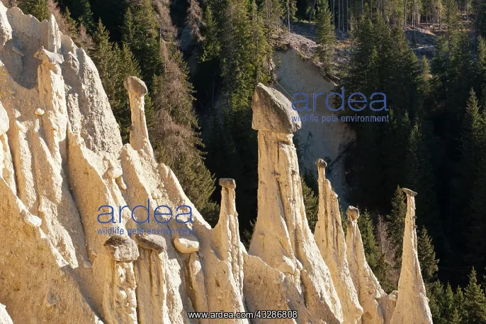 : Natural Monument fairy chimneys of Platten, Piramidi : Natural Monument fairy chimneys of Platten, Piramidi