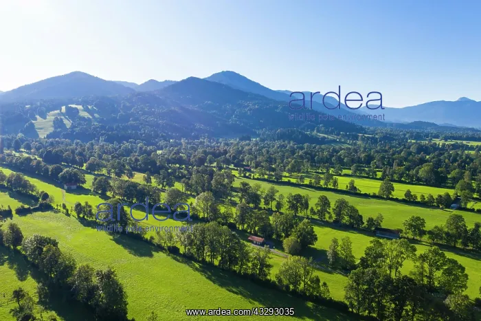 : Natural monument hedgerow landscape near Gai&, x7e1;ch : Natural monument hedgerow landscape near Gai&, x7e1;ch
