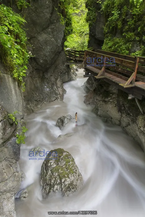  : Natural monument Seisenbachklamm - a gorge near