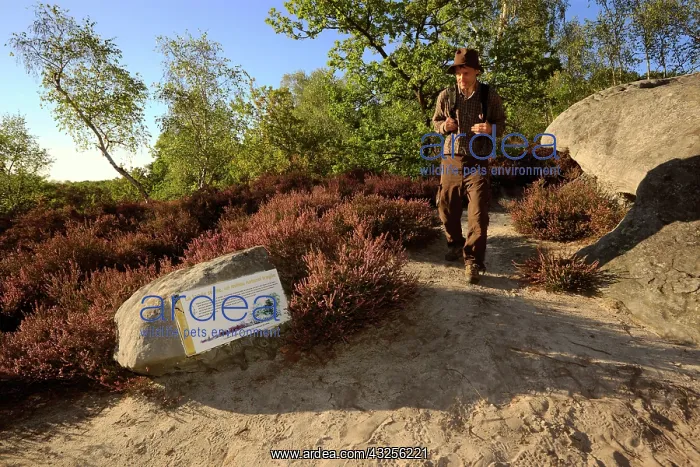 : Natural site protected by the Conservatory of natural : Natural site protected by the Conservatory of natural
