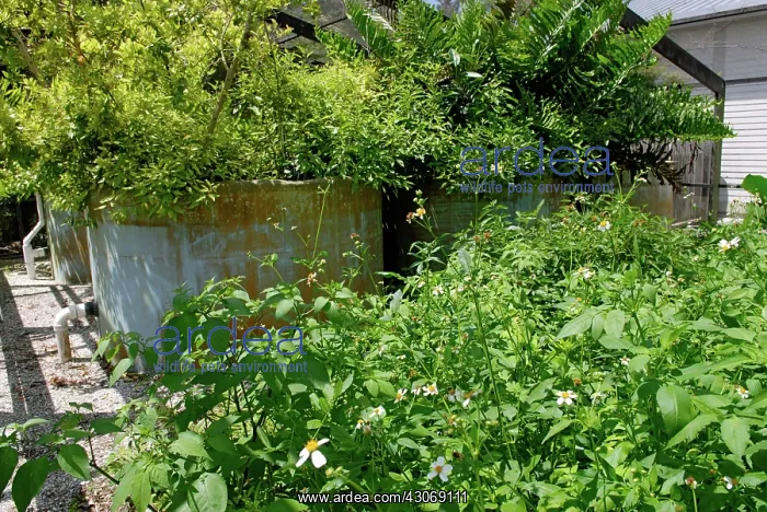 : Natural Wastewater Treatment : Natural Wastewater Treatment