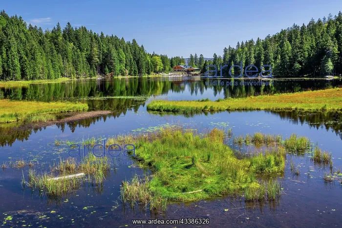 : Nature reserve Groier Arbersee with Arberseehaus : Nature reserve Groier Arbersee with Arberseehaus