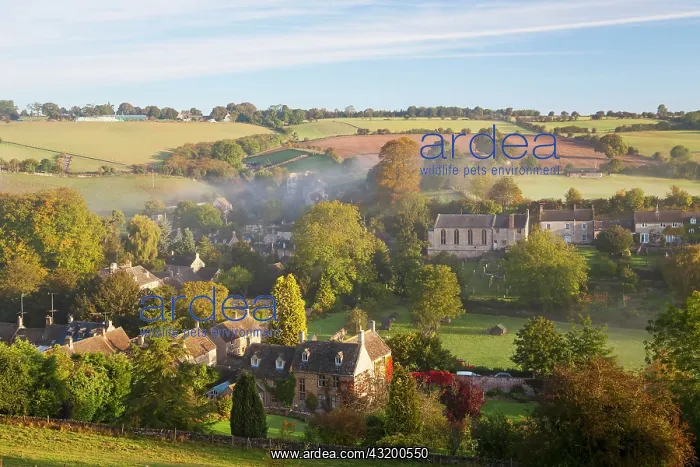 : Naunton village and morning mist, Naunton, Gloucestershire : Naunton village and morning mist, Naunton, Gloucestershire