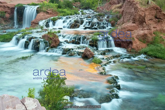 : Navajo Falls on the Havasupai Reservation : Navajo Falls on the Havasupai Reservation