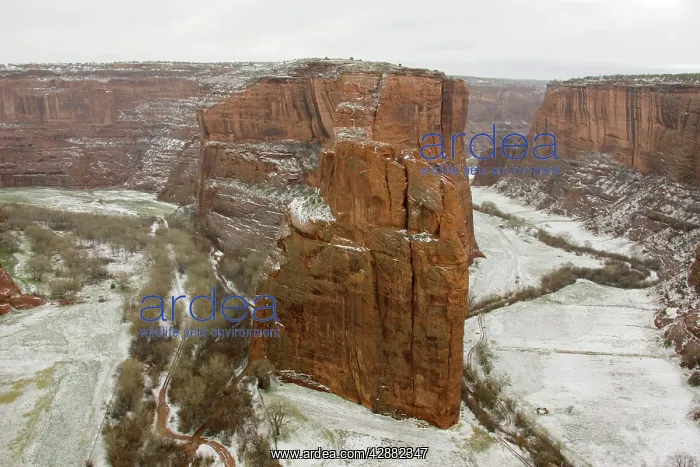 : The Navajo Fortress, a prominent rock face that : The Navajo Fortress, a prominent rock face that