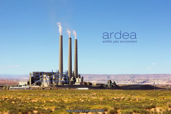: Navajo Generating Plant : Navajo Generating Plant