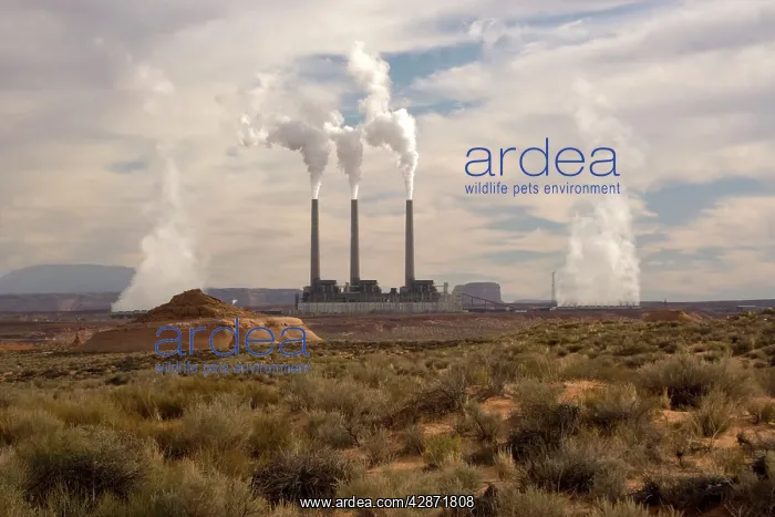  : Navajo power plant