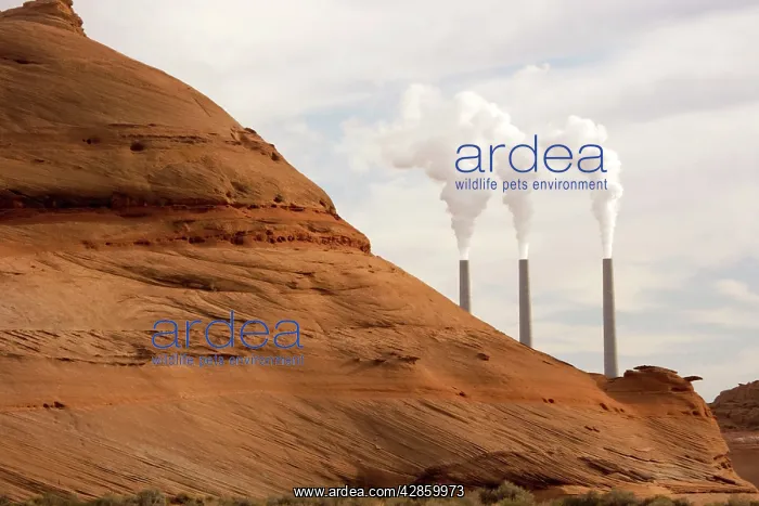: Navajo power plant - coal-fired Navajo-owned power : Navajo power plant - coal-fired Navajo-owned power