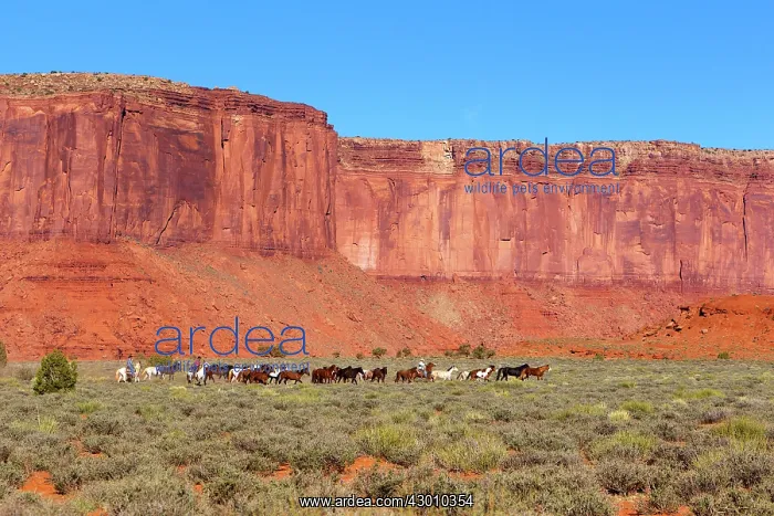 : Navajos and Horses - The Three Sisters : Navajos and Horses - The Three Sisters