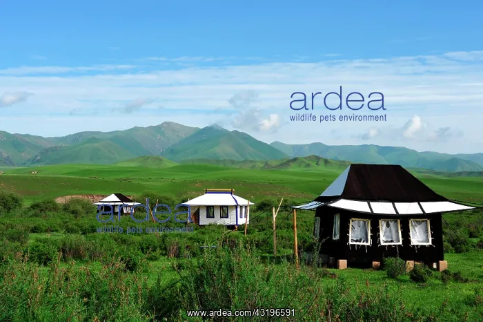 : Near Labrang, Norden is a nomad camp of ten tents : Near Labrang, Norden is a nomad camp of ten tents