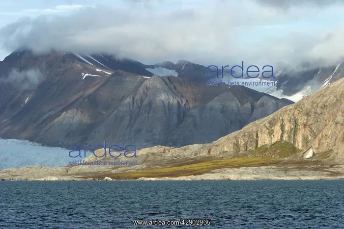 : Near Ny-Alesund, Spitzbergen. Svalbard : Near Ny-Alesund, Spitzbergen. Svalbard