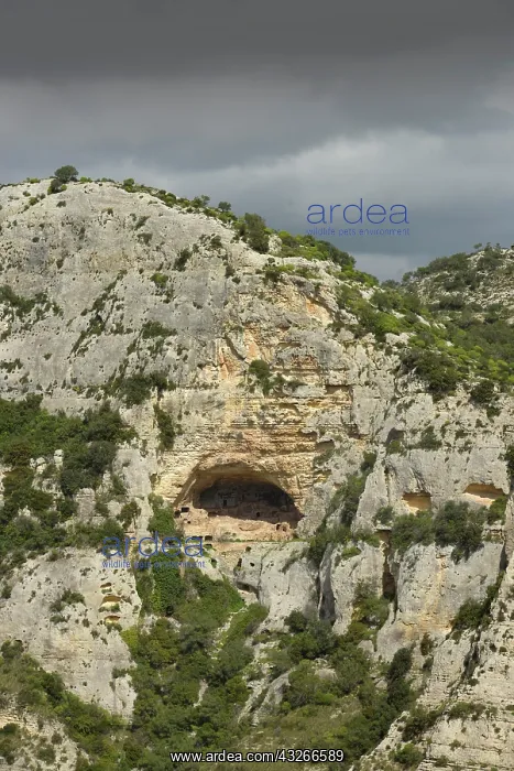 : Necropolis, gorge, Cavagrande del Cassibile, Sicily : Necropolis, gorge, Cavagrande del Cassibile, Sicily