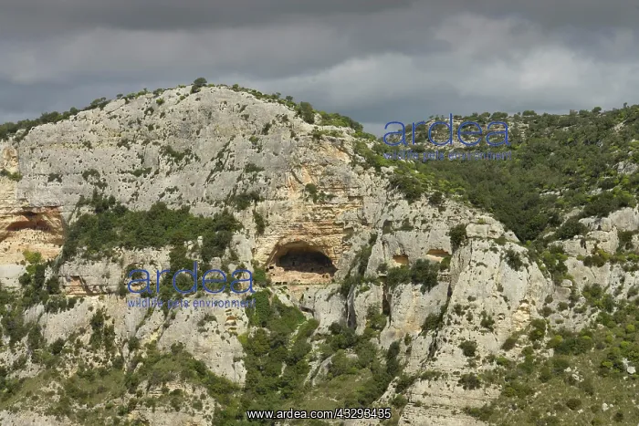  : Necropolis, gorge, Cavagrande del Cassibile, Sicily