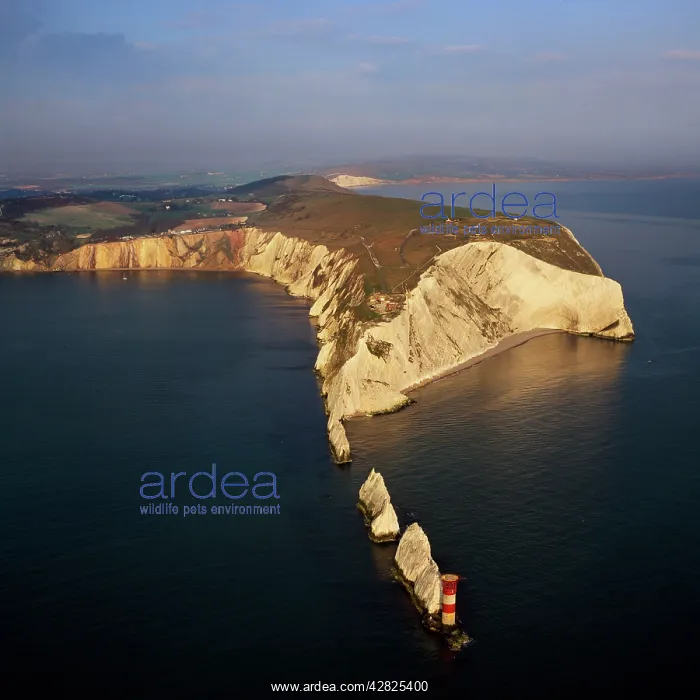 : The Needles, a row of three stacks of chalk and : The Needles, a row of three stacks of chalk and