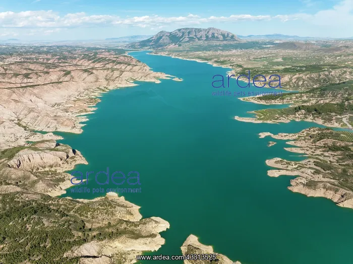  : The Negrat on reservoir. Aerial view. Drone shot