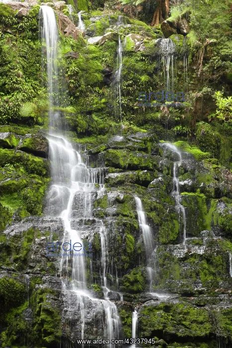 : Nelson Falls, Franklin - Gordon Wild Rivers : Nelson Falls, Franklin - Gordon Wild Rivers