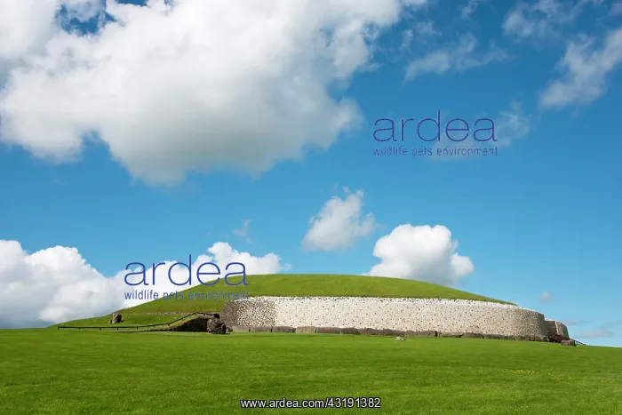 : Neolithic burial mound, Newgrange, County Meath : Neolithic burial mound, Newgrange, County Meath