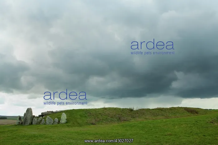 : Neolithic Chambered Tombs : Neolithic Chambered Tombs