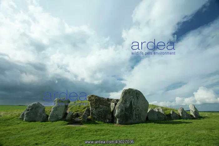 : Neolithic Chambered Tombs : Neolithic Chambered Tombs