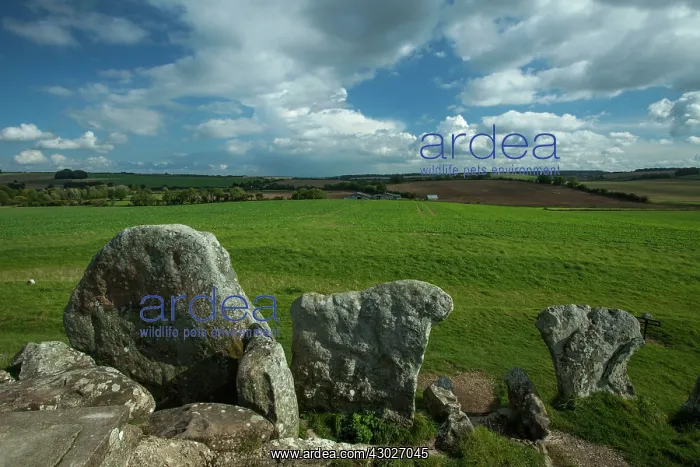 : Neolithic Chambered Tombs : Neolithic Chambered Tombs